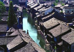 银河中动物逃生